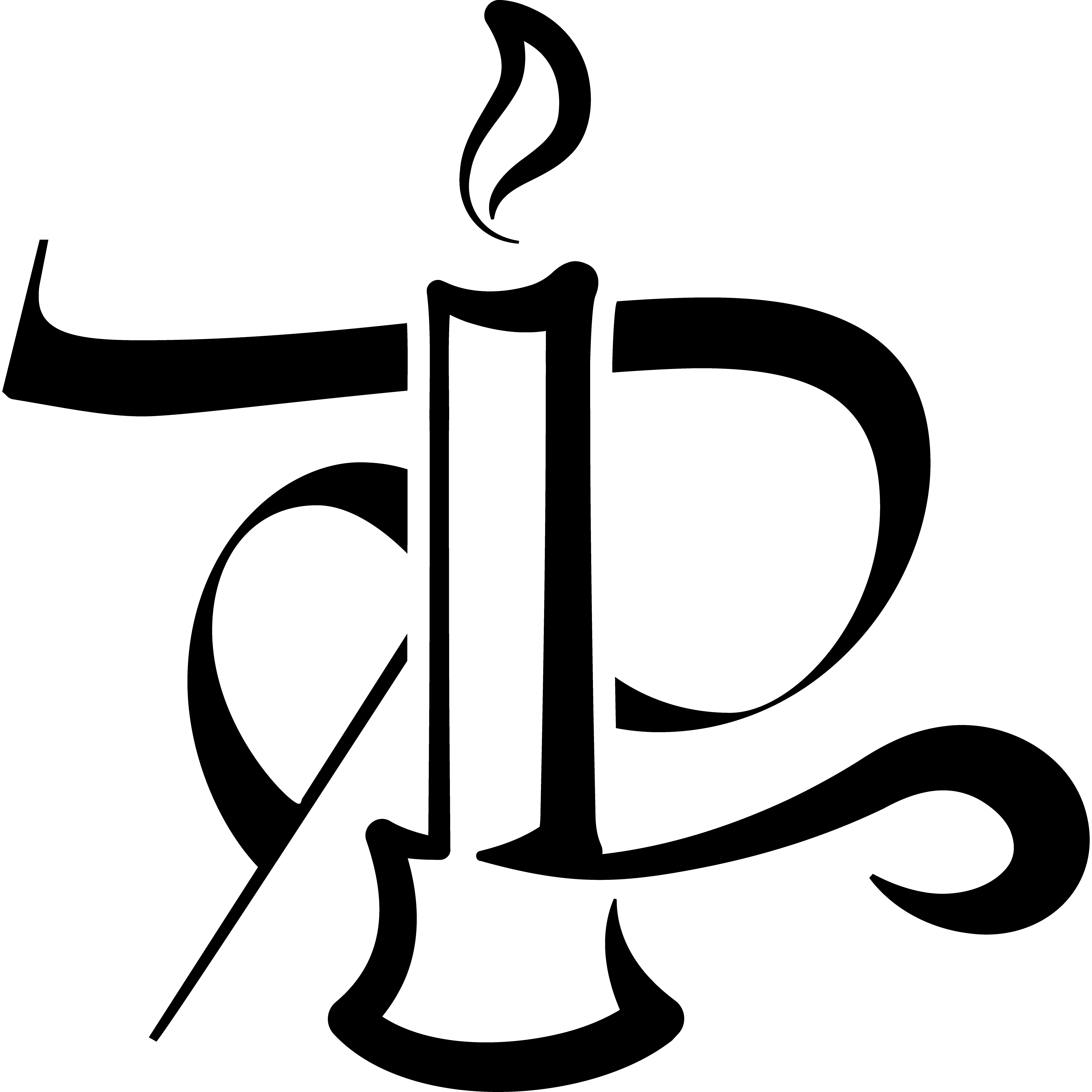 Perfect Light Electrical logo